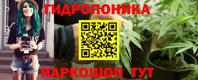 стаф Будённовск