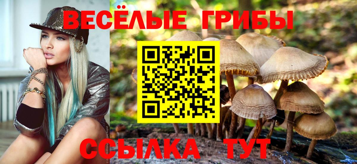 цены   Галлюциногенные грибы Psilocybine cubensis  Семилуки  Вход с VPN  Галлюциногенные грибы MAGIC MUSHROOMS 