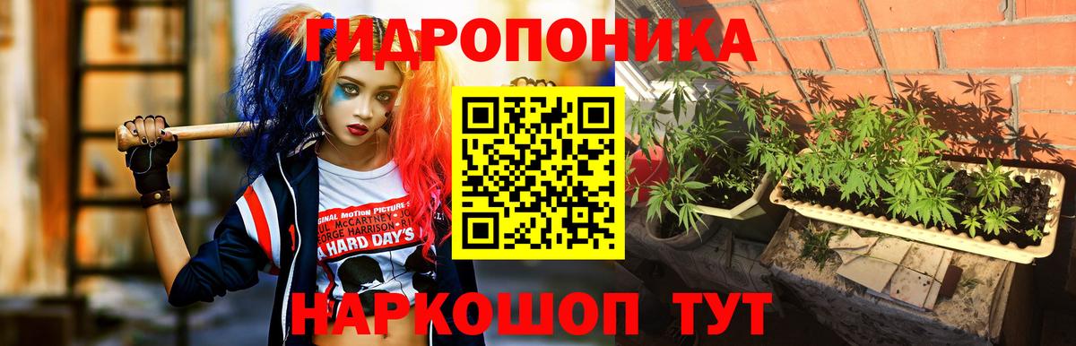 Семилуки  Конопля Bruce Banner  Конопля конопля  Шишки марихуана SATIVA & INDICA  Вход с VPN  Бошки Шишки гибрид 